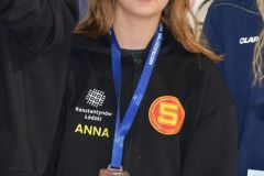 obraz003
