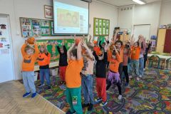 dzd_8