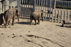 Lekcja biologii w Orientarium ZOO Łódź