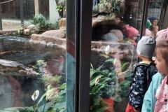 ZOO_3