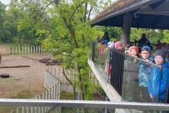 ZOO_4