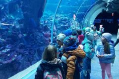 ZOO_7