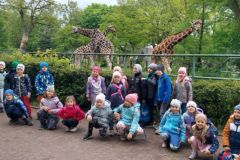 ZOO_9