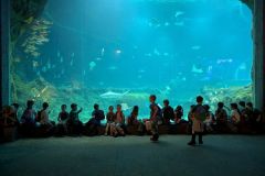 Oddziały przedszkolne w ZOO