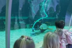 zoo_7