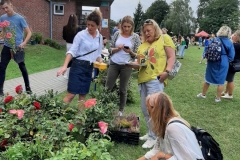 piknik_46