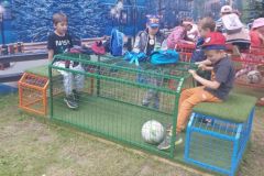 malinowy_1